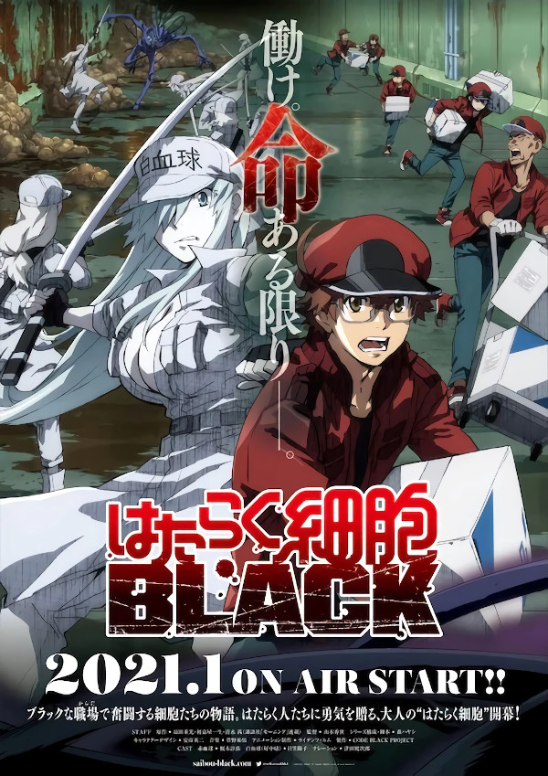 cells at work cells at work